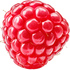 Forest raspberry